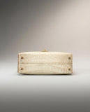 The Axiom 19 Himalaya Matte Crossbody & Handle bag