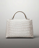 The Axiom 19 Himalaya Matte Crossbody & Handle bag