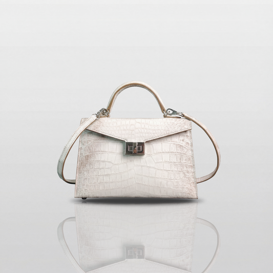 The Axiom 19 Himalaya Matte Crossbody & Handle bag